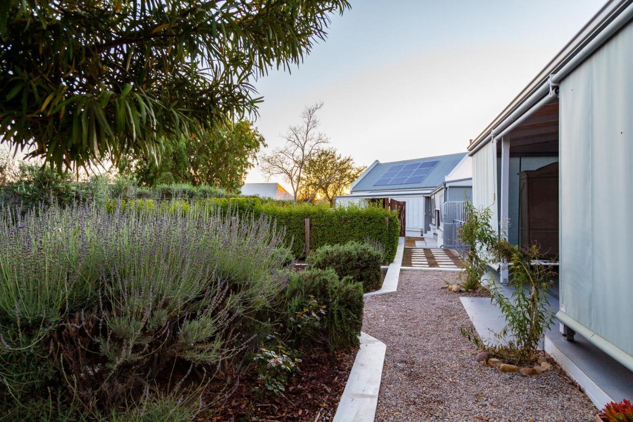 Karoo Masterclass - Accommodation Прінс-Альберт Екстер'єр фото